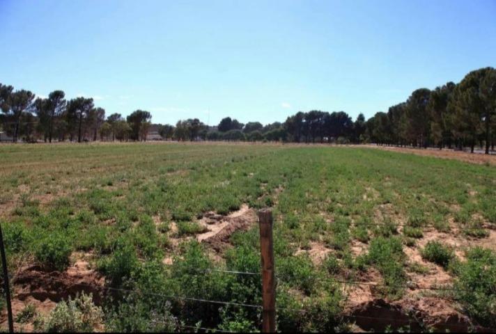 0 Bedroom Property for Sale in Loxton Northern Cape